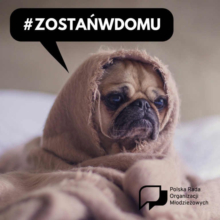#ZOSTAŃwDOMU